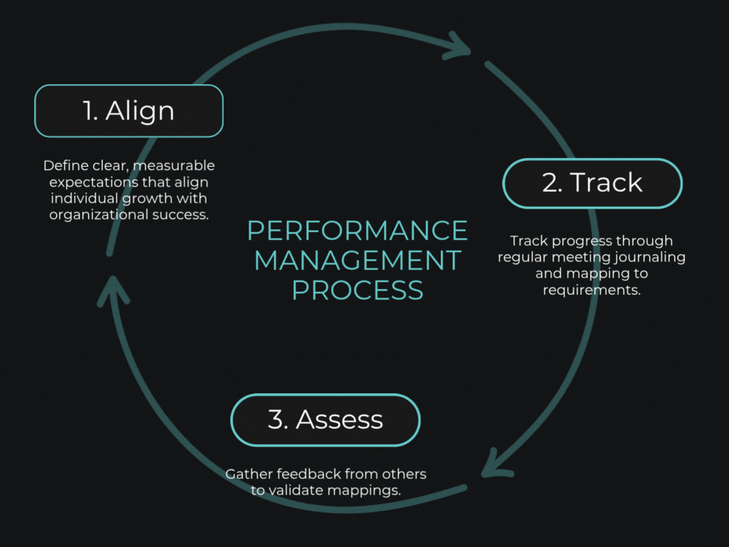 Performance Management Process